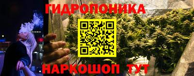 стаф Ливны