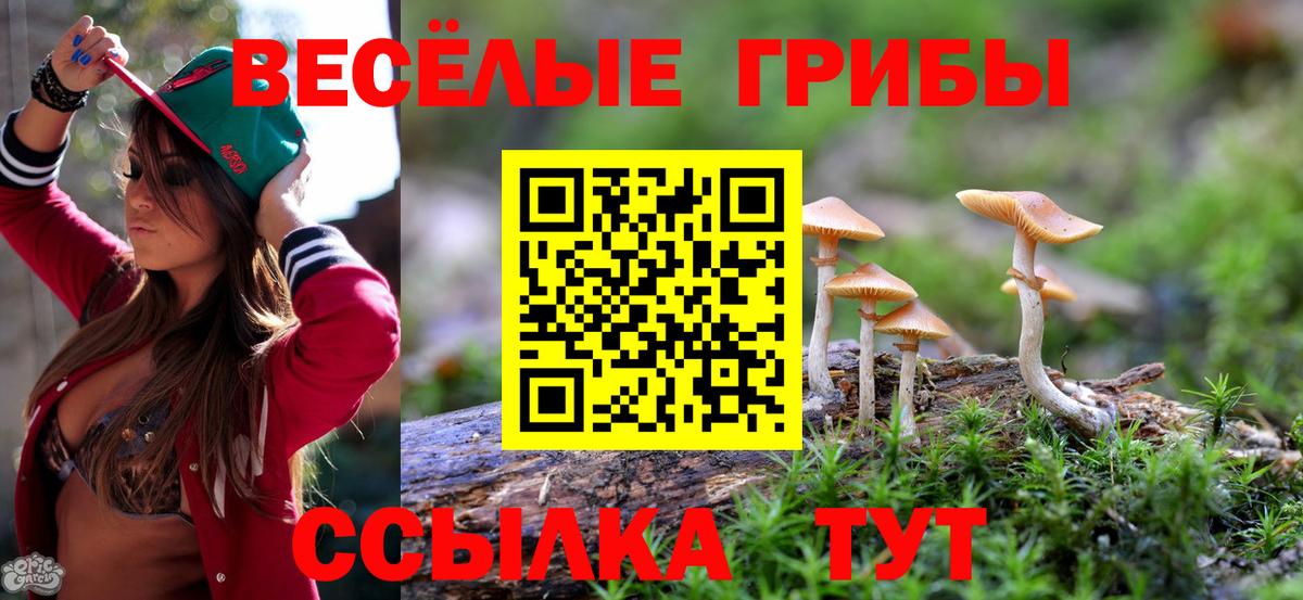 Псилоцибиновые грибы MAGIC MUSHROOMS  Вход с VPN  Псилоцибиновые грибы Psilocybine cubensis  Грязи 