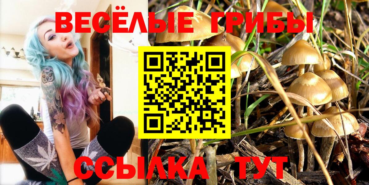 Галлюциногенные грибы мицелий Грязи